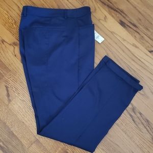 NWT Express Dress Pants